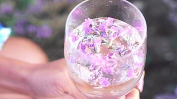 mujer en lavanda campo. de moda niña tomando selfie al aire libre con un vaso de champán en lavanda campo en verano puesta de sol. sonriente contento mujer fotografiando con teléfono inteligente video