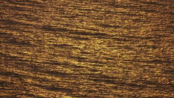 Sea water surface. Aerial view on golden sea water at sunset. Sun glare. Abstract nautical summer ocean nature. Holiday, vacation and travel concept. Nobody. Slow motion. Weather and climate change video