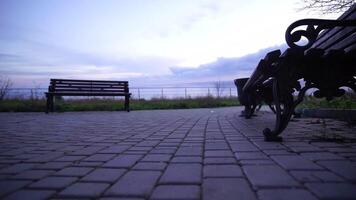 un linda contento gris atigrado gatito mentiras y descansa en el piso de el parque en el rayos de luz de sol, mira a el cámara, se menea sus orejas y disfruta el Mañana Dom. video