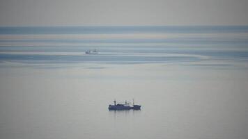 pescar barco barco de jabeguero capturas pescado mientras navegación en mar. un comercial pescar barco en el horizonte en un distancia vela a captura colegio de pescado en calma mar superficie en verano. comercial captura de mar pez. video