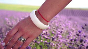 lavanda, campo, a piedi - Due signora nel viola vestire, attraversare viola fiori, vasto Aperto spazio, luce del giorno, natura bellezza. madre e figlia mano nella mano mossa in mezzo viola flora, espansivo rurale la zona video