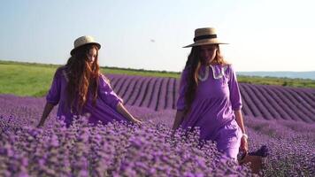 lavanda, campo, caminhando - dois senhora dentro tolet vestir, atravessar roxa flores, grande aberto espaço, luz do dia, natureza beleza. mãe e filha de mãos dadas mover no meio roxa flora, expansivo rural área video