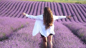 kvinna i lavendel- fält - Lycklig lady i hatt åtnjuter solig dag, vandrande i lavendel- fält, uppskattar natur. flicka promenad mitt i lavendel- blommar, omfattande fält under solnedgång, fångande natur skönhet. video