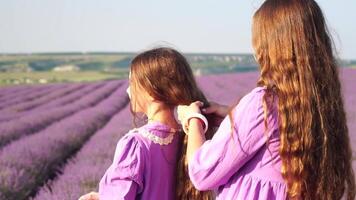 lavanda, campo, caminhando - dois senhora dentro tolet vestir, atravessar roxa flores, grande aberto espaço, luz do dia, natureza beleza. mãe e filha de mãos dadas mover no meio roxa flora, expansivo rural área video