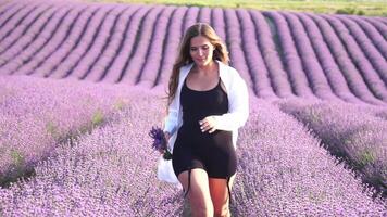 mujer en lavanda campo - contento dama en sombrero disfruta soleado día, errante en lavanda campo, apreciando naturaleza. niña caminar en medio de lavanda flores, vasto campo durante atardecer, capturar naturaleza belleza. video