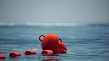 arancia sicurezza boe su un' corda galleggiante nel il mare su un' soleggiato giorno, vicino su. scherma di il nuoto la zona su il spiaggia. video