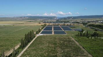 Aerial drone view of huge areas greenhouse for growing strawberries. Greenhouse farming, agriculture industry. Flying over large industrial greenhouses at sunny day. video