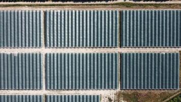 Aerial drone view of huge areas greenhouse for growing strawberries. Greenhouse farming, agriculture industry. Flying over large industrial greenhouses at sunny day. video