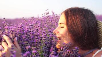 Woman in lavender field - Happy Lady in hat enjoys sunny day, wandering in lavender field, appreciating nature. Girl appreciates lavender bouquet fragrance, standing in field, on a clear day. video