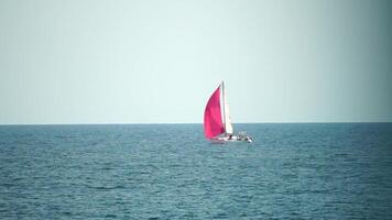 Yacht på lugna hav. lyx kryssning resa. sida se av vit båt med rosa segla på djup blå vatten. antenn se av rik Yacht segling hav. sommar resa på lyx fartyg. video