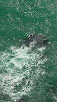 Aerial vertical view on azure sea. Small waves on water surface in motion blur. Nature summer ocean sea beach background. Nobody. Weather and climate change. Holiday, vacation and travel idea. video