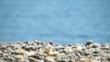 ciottolo rocce spiaggia di oceano mare acqua. vicino su ciottolo pietre su spiaggia nel messa a fuoco e sfocato mare su sfondo. astratto paesaggio marino caldo estate naturale Visualizza con bokeh. nessuno. lento movimento video