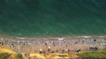 antenn se av en sandig strand under sommar solnedgång. folkmassor av Lycklig människor koppla av förbi de blå vatten av de hav bukt. Semester rekreation i en naturlig hav miljö. video