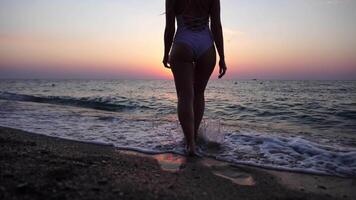 donna su spiaggia a tramonto. giovane viaggiatore a piedi di mare oceano spiaggia a d'oro tramonto luce. femmina turista godendo natura durante estate vacanza. lento movimento. vacanza ricreazione concetto. video