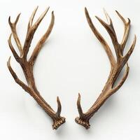 AI generated Pair of Antlers on White Background photo