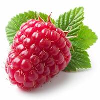AI generated Raspberry With Green Leaves on White Background photo