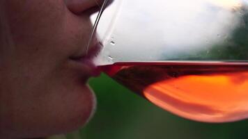 magnifique femme les boissons rouge du vin de une verre à le coucher du soleil dans le vignoble. une femme main secoue une verre de rouge du vin légèrement. du vin dégustation et du vin fabrication concept. lent mouvement video