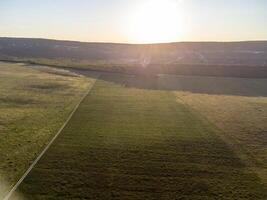 Aerial view on green wheat field, road and hills in countryside. Field of wheat blowing in the wind on sunset. Ears of barley crop in nature. Agronomy, industry and food production. photo