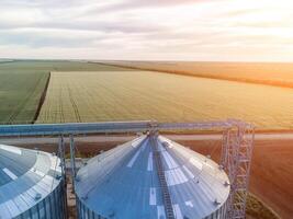 Grain silos on a green field background with warm sunset light. Grain elevator. Metal grain elevator in agricultural zone. Agriculture storage for harvest. Aerial view of agricultural factory. Nobody. photo