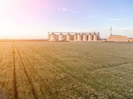 Modern metal silos on agro-processing and manufacturing plant. Aerial view of Granary elevator processing drying cleaning and storage of agricultural products, flour, cereals and grain. Nobody. photo