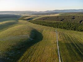 Aerial view on green wheat field, road and hills in countryside. Field of wheat blowing in the wind on sunset. Ears of barley crop in nature. Agronomy, industry and food production. photo