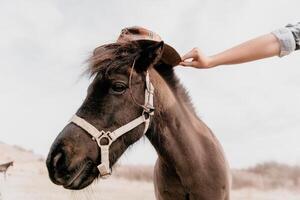 Young happy woman with her pony horse in evening sunset light. Outdoor photography with fashion model girl. Lifestyle mood. Concept of outdoor riding, sports and recreation. photo