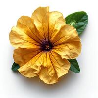 AI generated Yellow petunia flower isolated on white shadow with background. Yellow flower isolated. Petunia top view photo