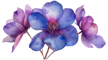 ai généré aquarelle fleurs sur une transparent Contexte png