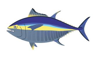 Yellowfin tuna fish. vector