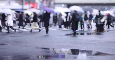 wandelen mensen Bij de Shibuya kruispunt regenachtige dag video
