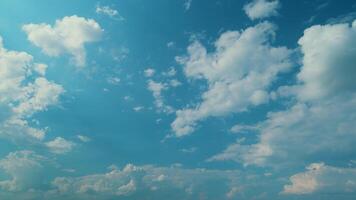 altocumulus nuvole movimento su il blu cielo. panoramico di bianca altocumulus nuvole Fumo lentamente volante nel nuvoloso cielo. video