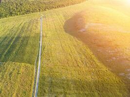 Aerial view on green wheat field, road and hills in countryside. Field of wheat blowing in the wind on sunset. Ears of barley crop in nature. Agronomy, industry and food production. photo