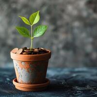 AI generated A young plant sprouting from a terracotta pot filled with coins, depicting investment growth and financial planning. photo