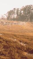 Plain with dried grass and mountain peaks in the background video