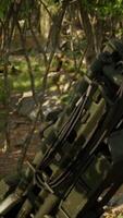 cañón de arma grande en el bosque video
