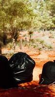 gros plan de sacs poubelle pleins sur le sable video