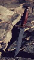 Excalibur sword in rocky stone at sunset video