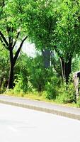 View of empty road with lamp post and sunlight video