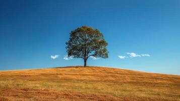 AI generated Lone Tree in Middle of Plowed Field photo