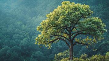 AI generated A Tree Standing Amongst Forest photo