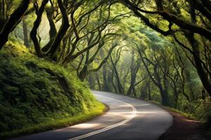 AI generated A winding road through a lush, green forest. Generative AI photo