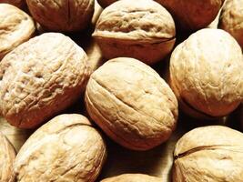 Walnuts in shell on wooden background video