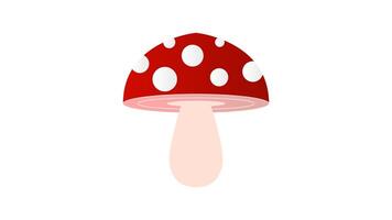 Mushroom illustrated on white background video