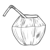 Hand drawn coconut cocktail isolated on a white background. Doodle, simple outline illustration. vector