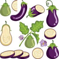 Digital set of fresh eggplant vector