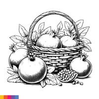 Fruit Basket line art illustration for the coloring book. Fruits coloring page. Vector graphics