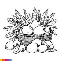 Fruit Basket line art illustration for the coloring book. Fruits coloring page. Vector graphics