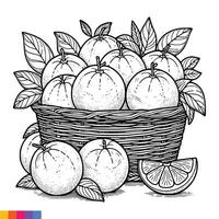 Fruit Basket line art illustration for the coloring book. Fruits coloring page. Vector graphics