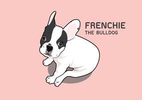 Cute Two-Tone French Bulldog Vector