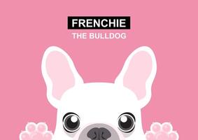 A little Frenchie puppy is looking out of the window vector